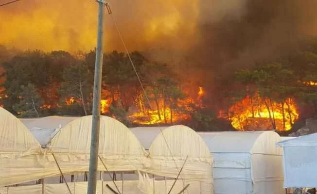 Antalya'da Korkutan Orman Yangını