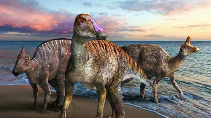 Dinozorları Yok Eden Dev Tsunami Dalgaları Görüntülendi