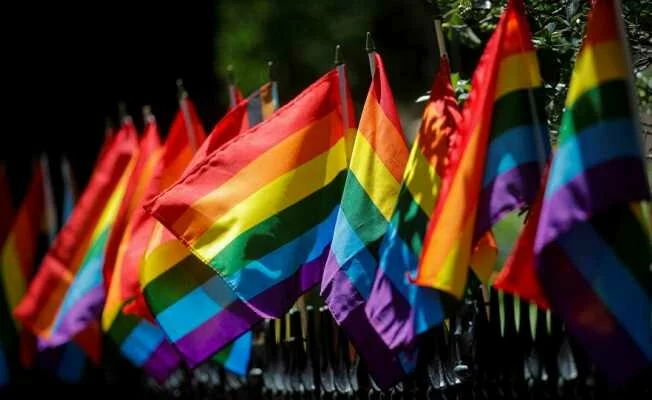Macaristan, 'Eşcinsellik Yasasını' Referanduma Götürüyor
