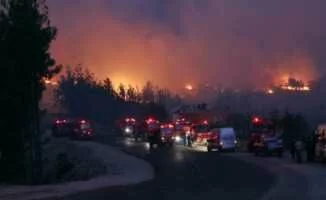 Adana'daki Orman Yangını Kontrol Altına Alındı