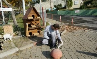 Kahramanmaraş'ta Sokak Hayvanları Unutulmadı