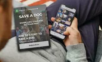 'Save a Dog' Uyarısı: Gönderinin Kaynağı Güvenilir Olmayan Bir Hesap