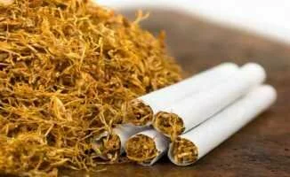 Tütün Üreticileri İsyan Etti