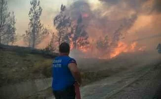 Adana'da Orman Yangınlarına Karşı Büyük Mücadele