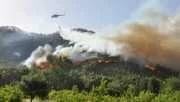 Antalya'daki Orman Yangınlarında 80 Dekar Kül Oldu