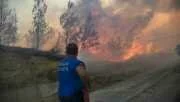 Adana'da Orman Yangınlarına Karşı Büyük Mücadele